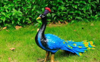 公園草坪玻璃鋼彩繪孔雀雕塑