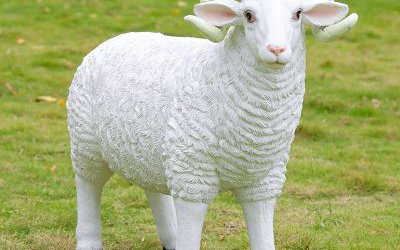 景區(qū)草地上一只站立的玻璃鋼仿真綿羊雕塑