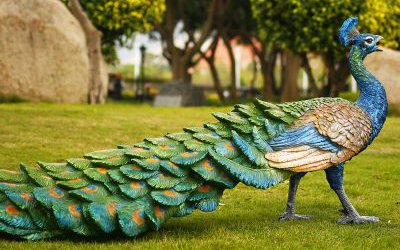 草地上一直拖著長(zhǎng)尾巴的玻璃鋼彩繪孔雀雕塑