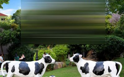 景區(qū)擺放一家三口卡通玻璃鋼奶牛雕塑