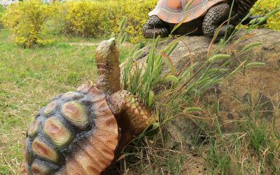 戶外草坪創(chuàng)意玻璃鋼仿真烏龜?shù)袼?>
	                <div>戶外草坪創(chuàng)意玻璃鋼仿真烏龜?shù)袼?/div>
	            </a>
	        	            <a href=