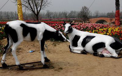 農場戶外玻璃鋼仿真奶牛雕塑