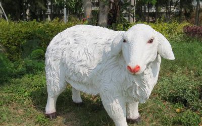 戶外草地上十二生肖玻璃鋼仿真綿羊雕塑