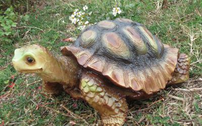 公園創(chuàng)意玻璃鋼仿真動物烏龜?shù)袼?>
	                <div>公園創(chuàng)意玻璃鋼仿真動物烏龜?shù)袼?/div>
	            </a>
	        	            <a href=
