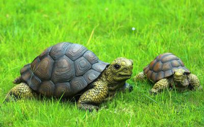 戶(hù)外草坪玻璃鋼仿真動(dòng)物烏龜?shù)袼?>
	                <div>戶(hù)外草坪玻璃鋼仿真動(dòng)物烏龜?shù)袼?/div>
	            </a>
	        	            <a href=