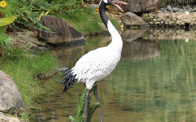 景區池塘邊上的一只玻璃鋼仿真仙鶴雕塑
